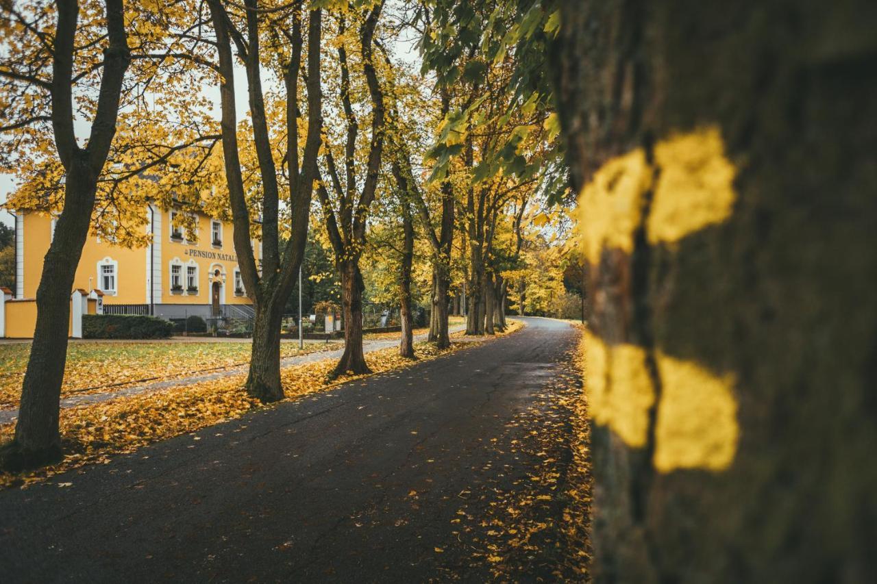Apartmany Natalie Františkovy Lázně Eksteriør bilde